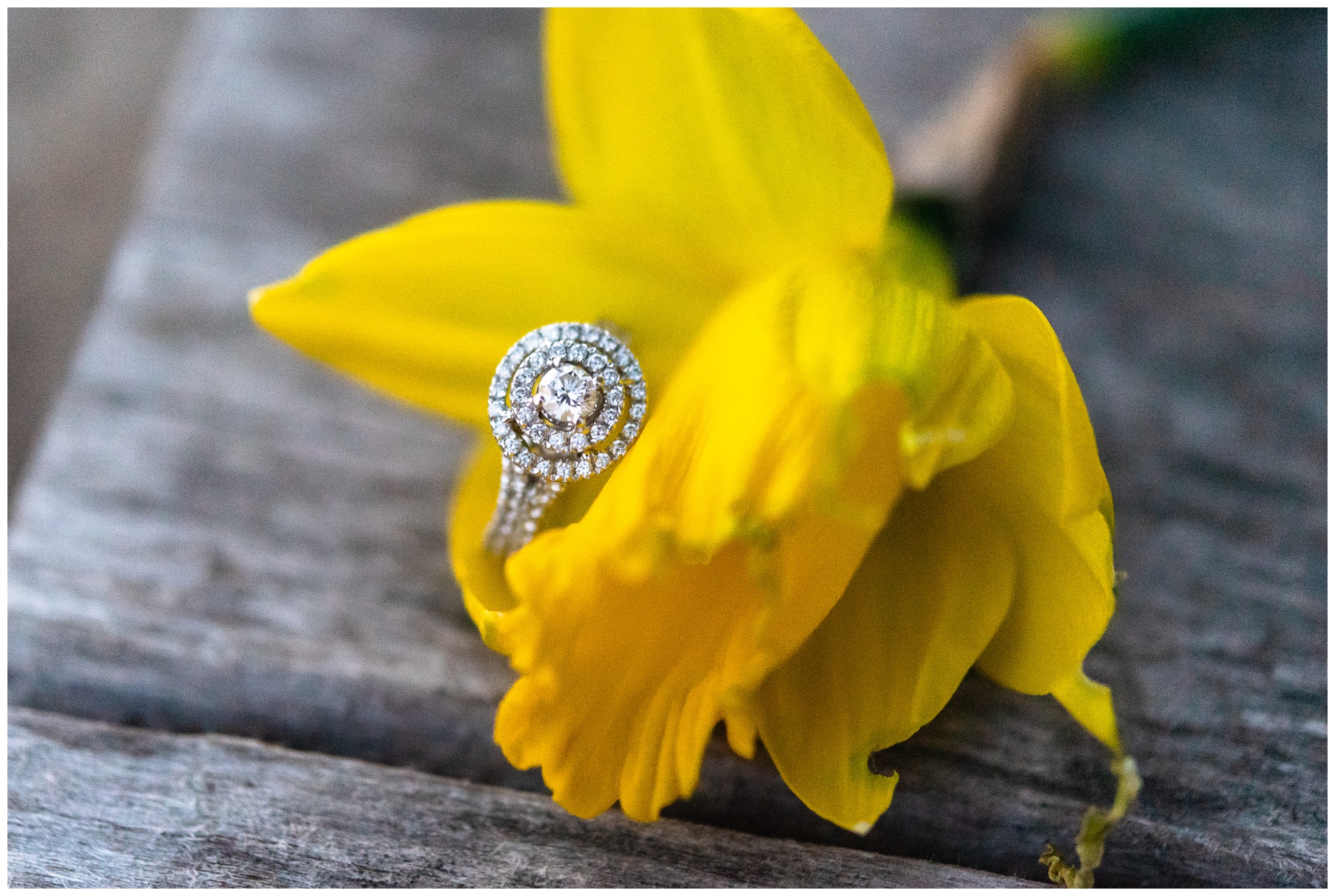 Engagement Ring in Flower