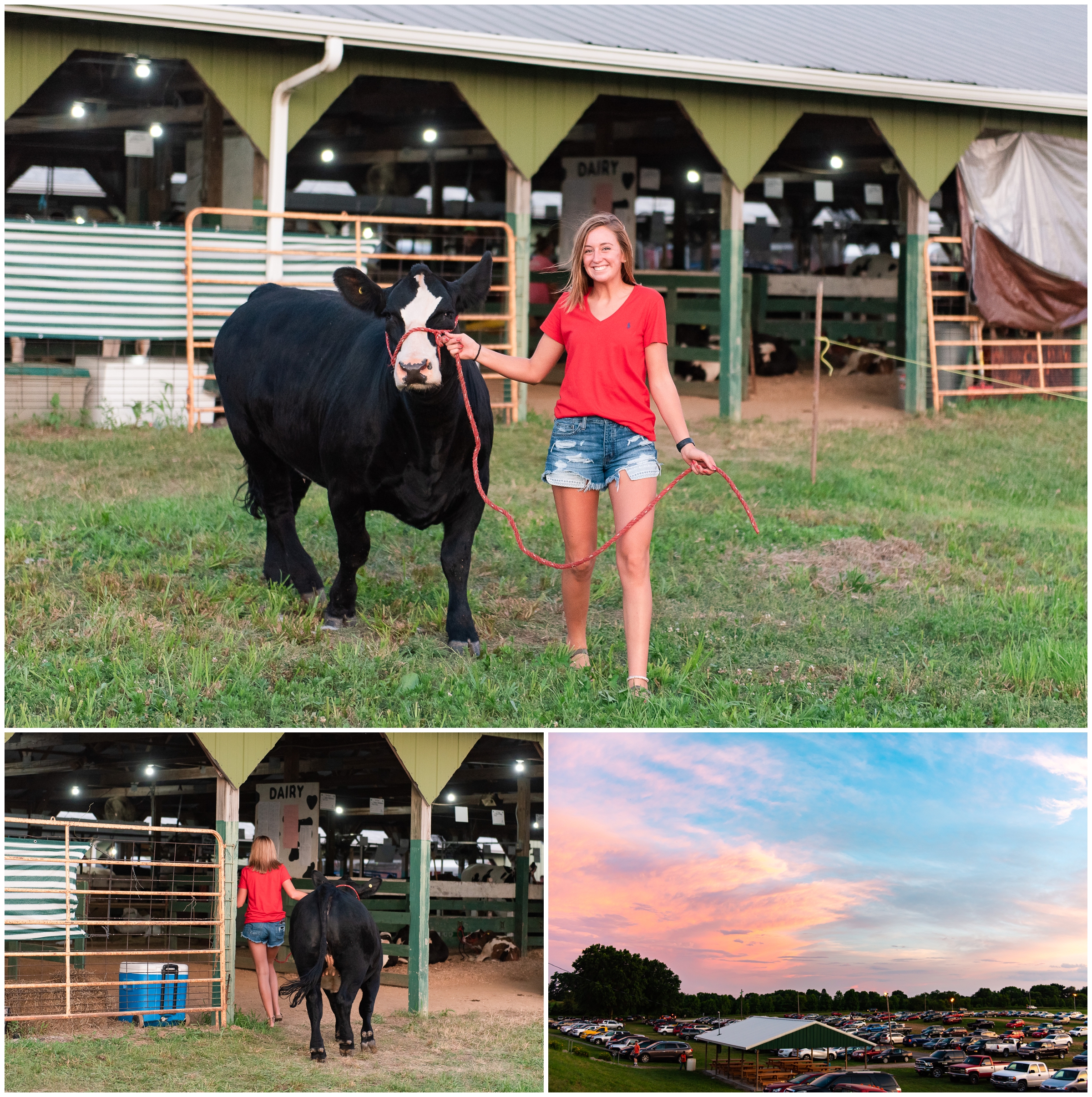 County Fair Senior Session with cow