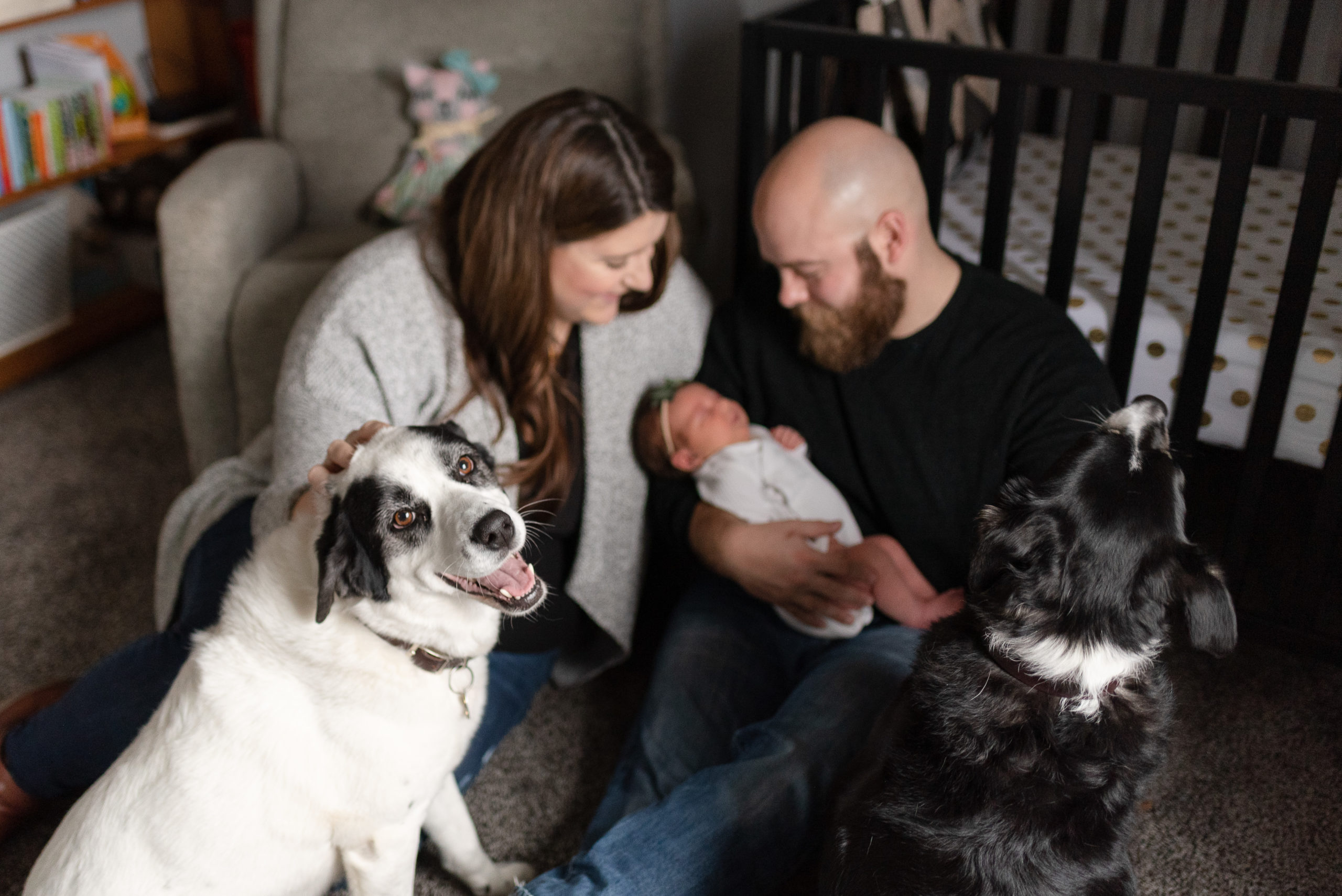 Lifestyle Newborn Photography with Dogs