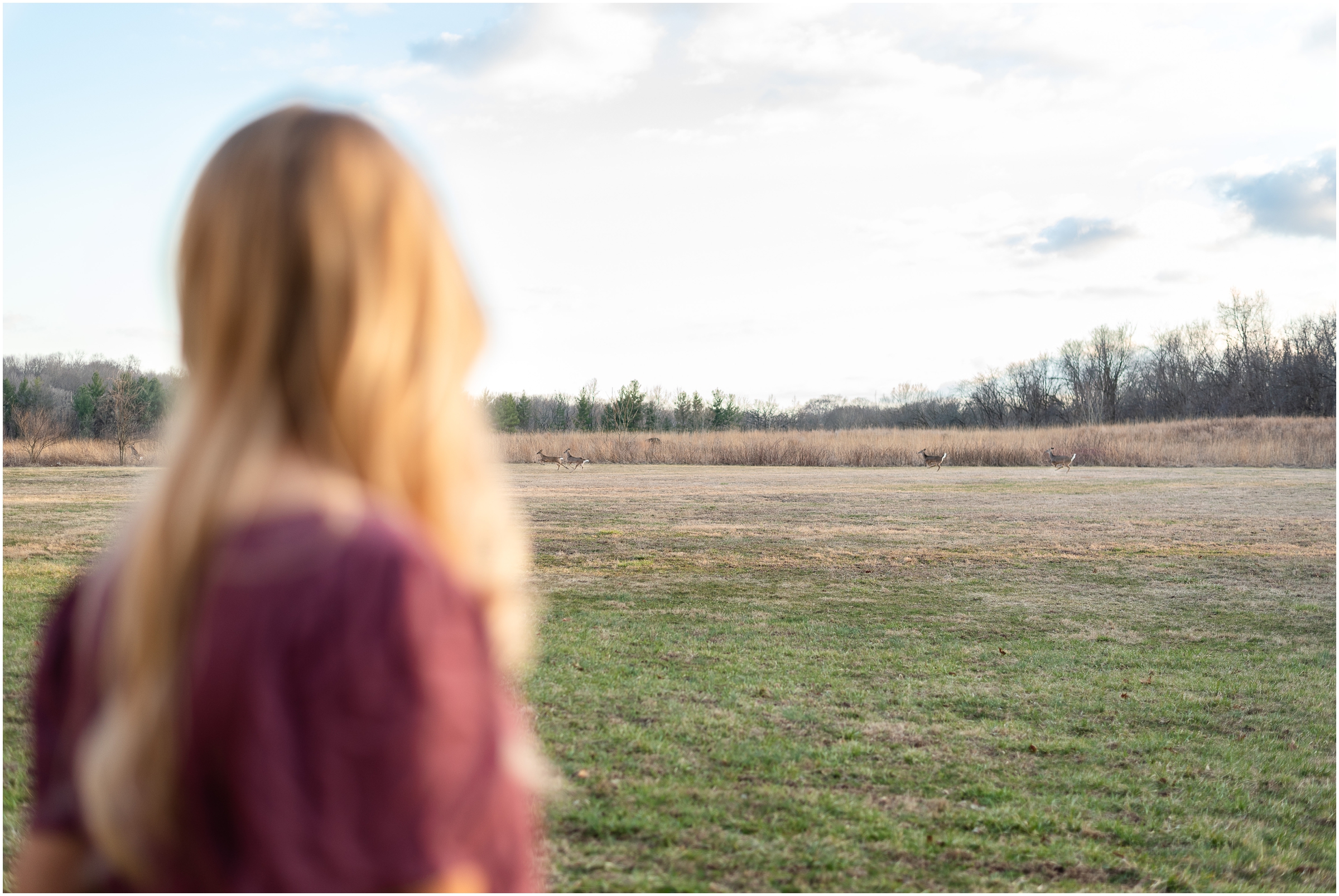 Deer spotted during a senior session