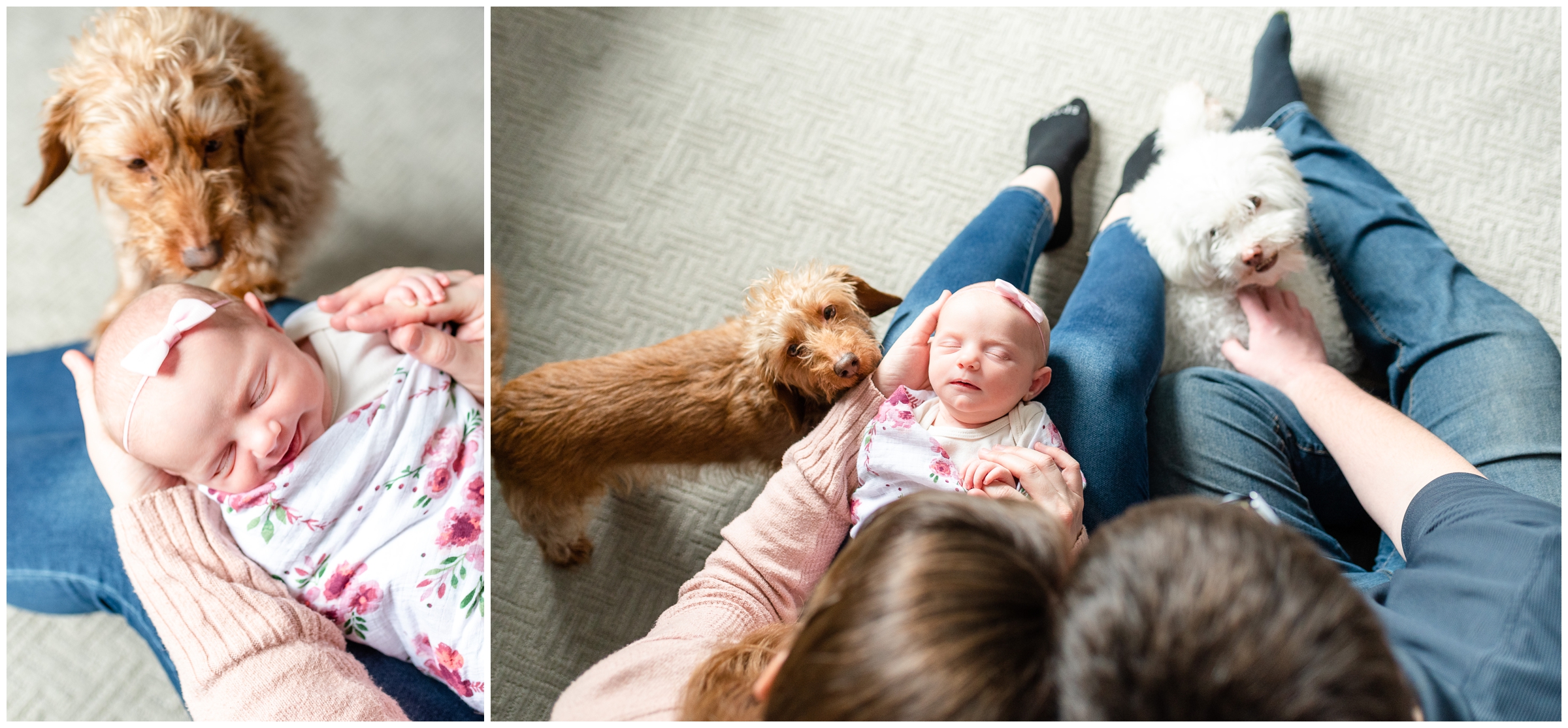 Kokomo, IN Lifestyle Newborn Session with dogs