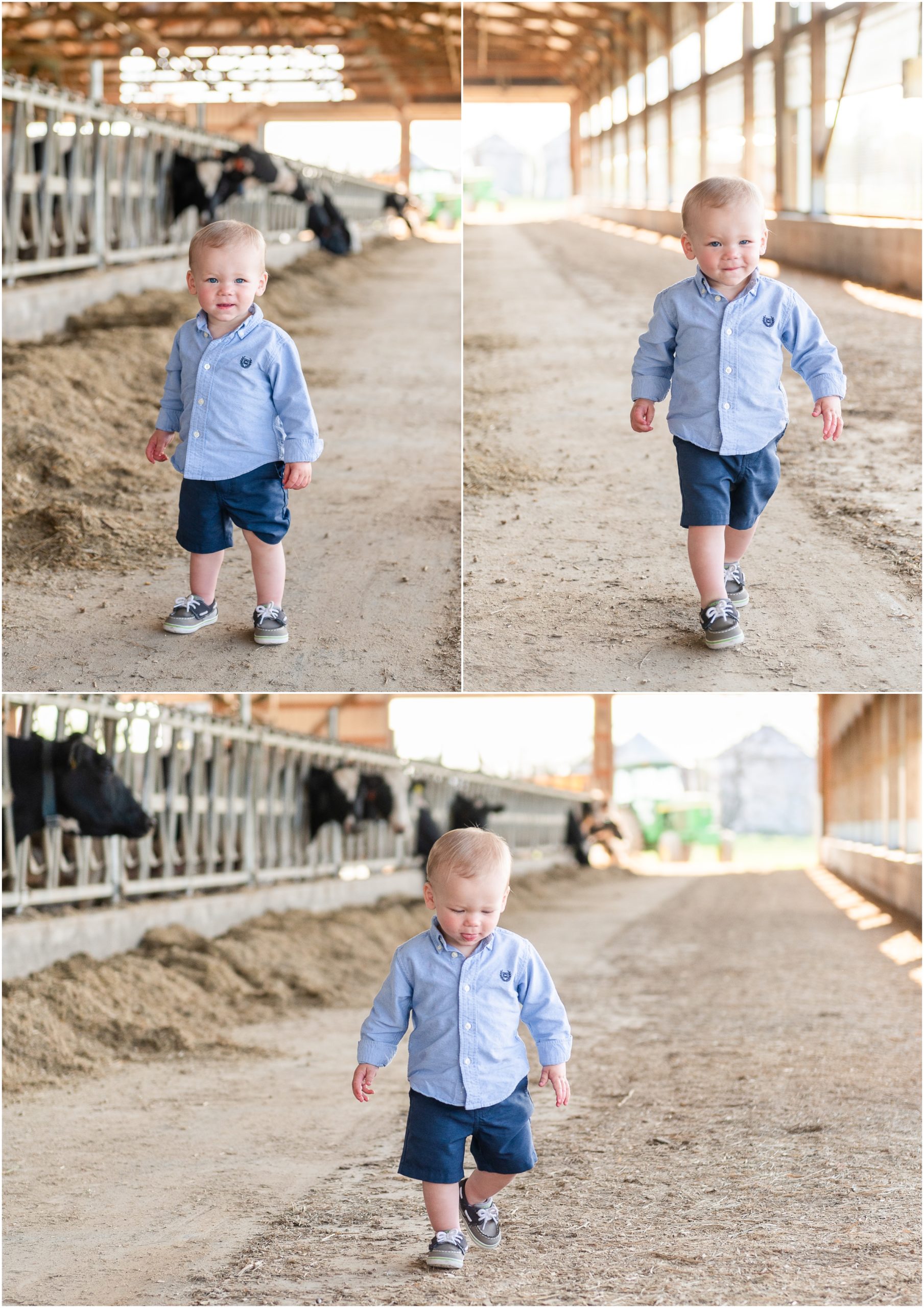 Portraits on the dairy farm