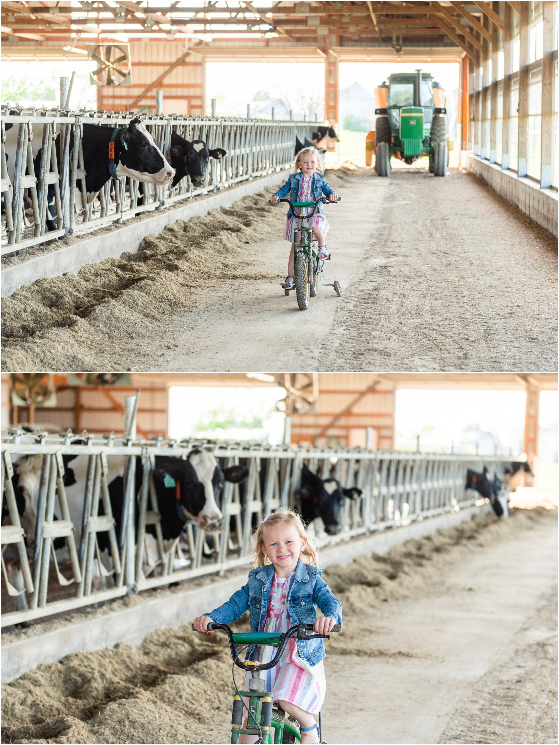Dairy Farm Family Photos