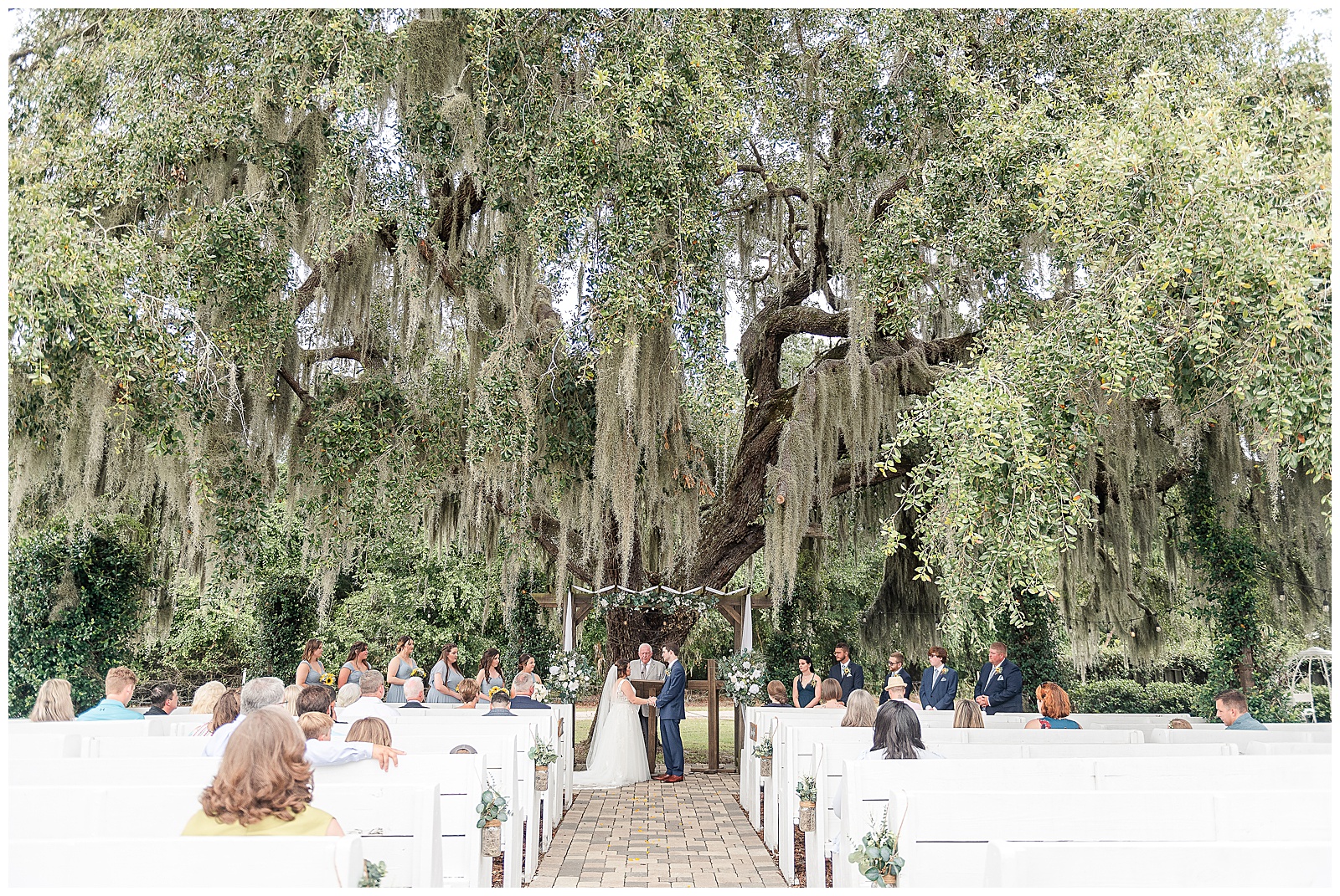 A beautiful ceremony under the 120 year old oak tree at a Wedding at Ever After Farms Blueberry Barn 