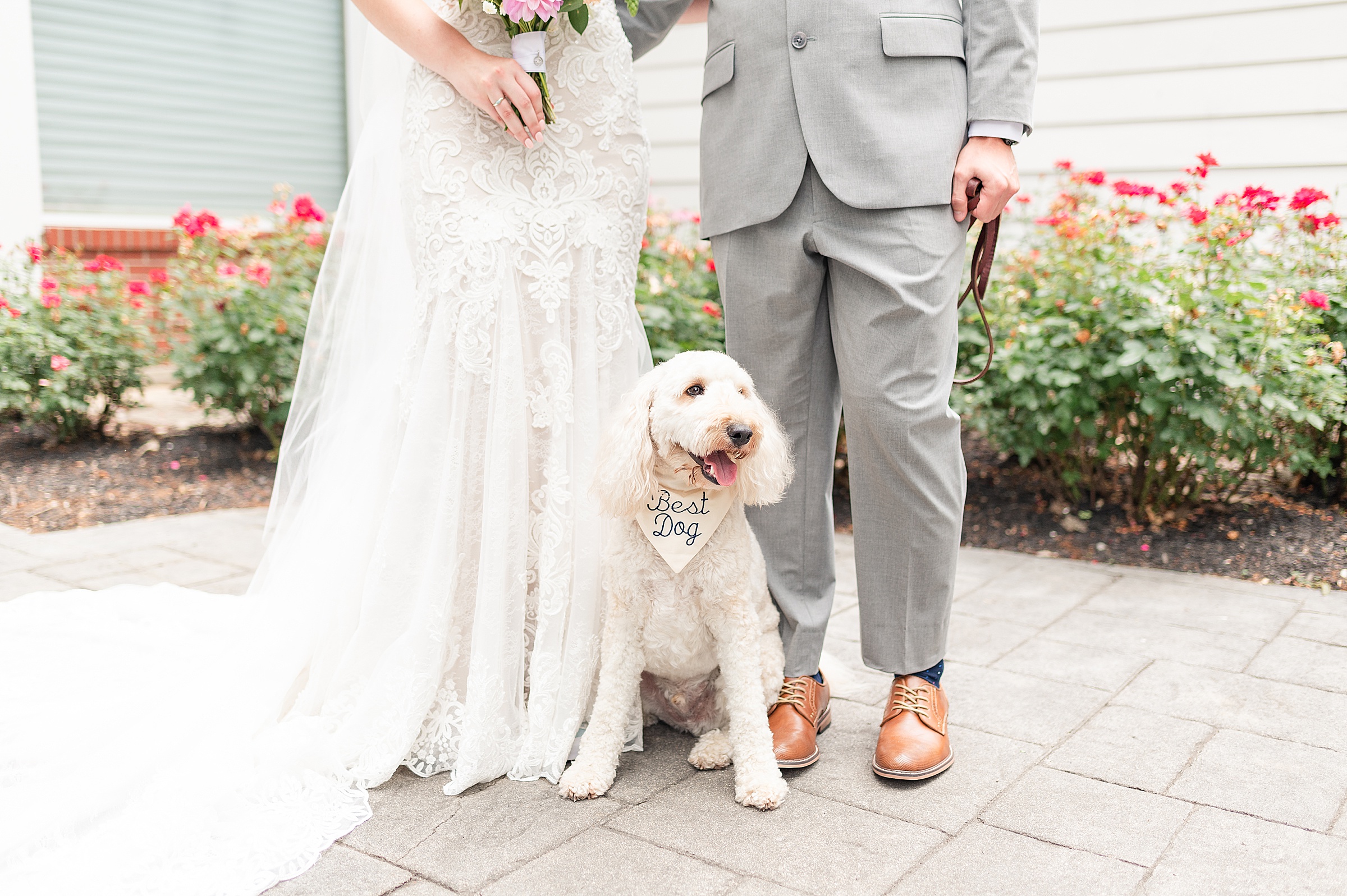 Bride and Groom With Dog | Anderson Country Club Wedding, Indiana