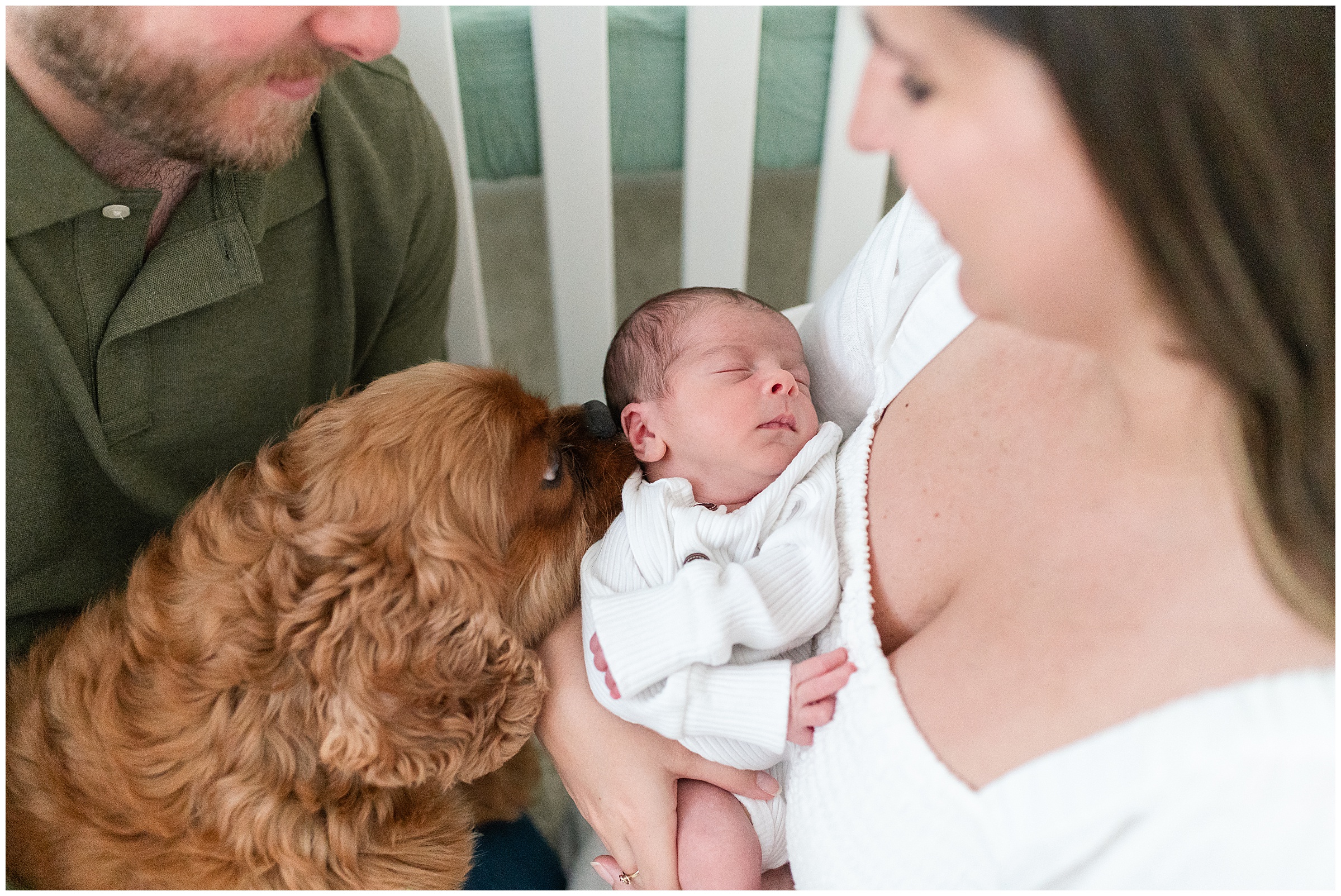 Orlando Lifestyle Newborn Photography with pets
