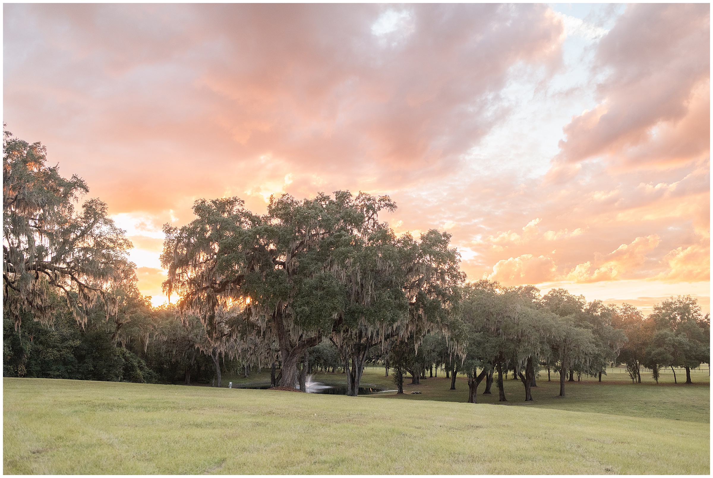 Sunset at Protea Weddings & Events | Ocala, FL