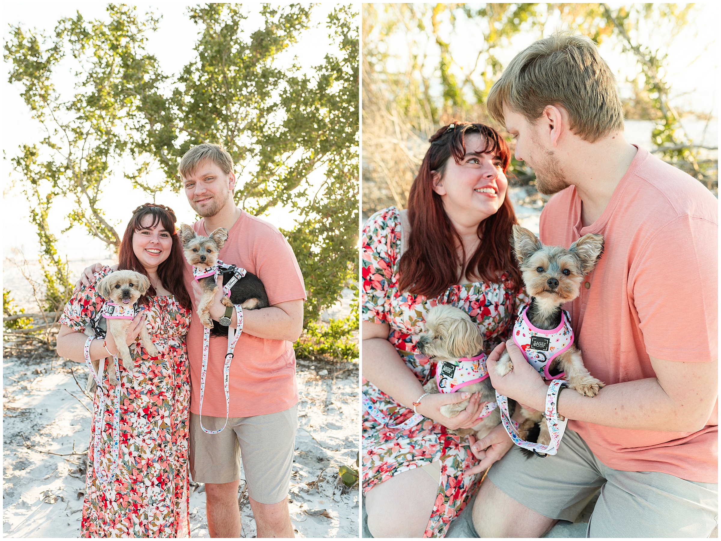 Honeymoon Island Engagement with two dogs