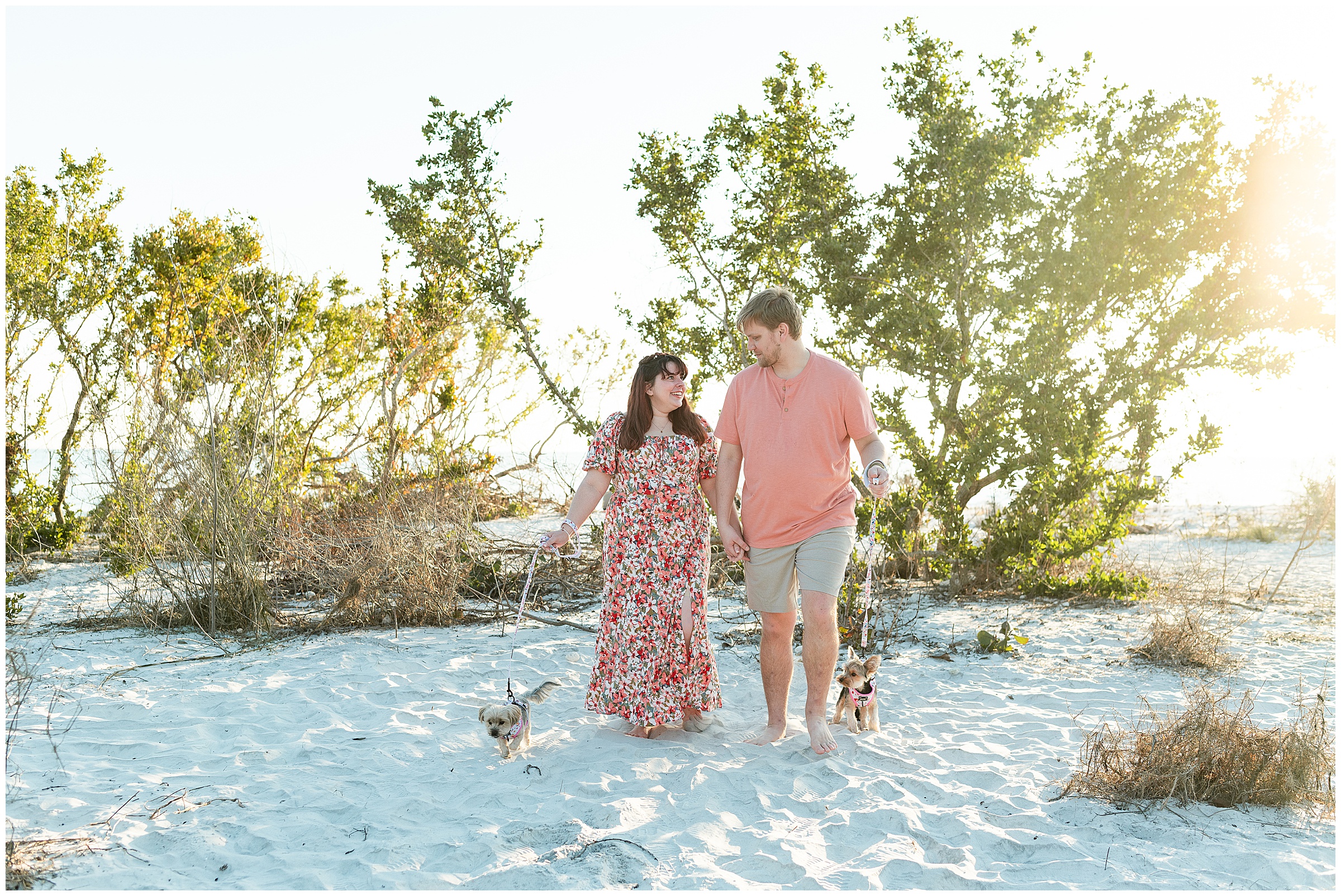 Honeymoon Island Engagement with two dogs