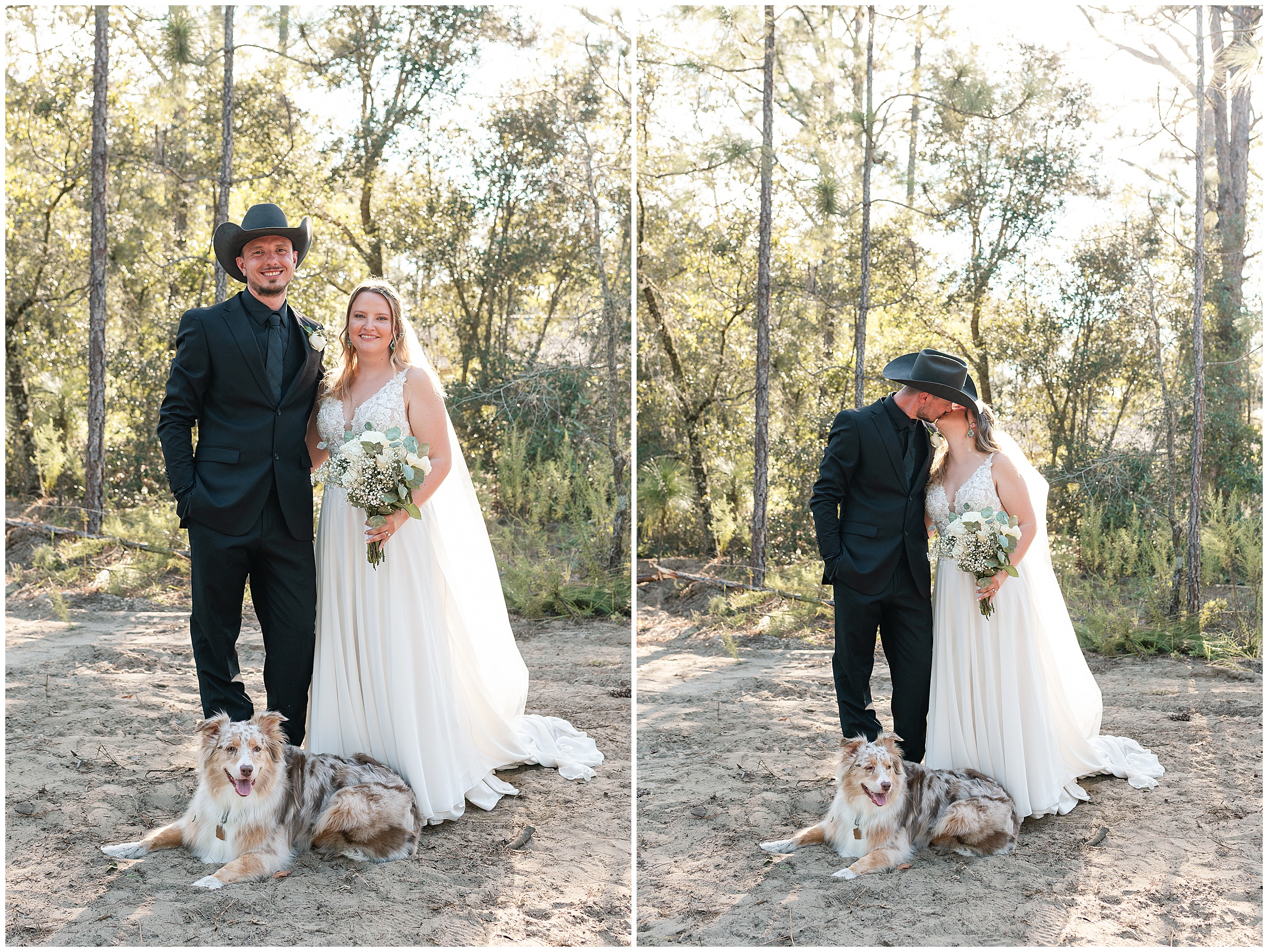 A bride and groom posing with their australian shepherd dog for wedding photos at their Ocala, FL Wedding. 